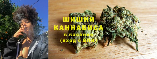 ПСИЛОЦИБИНОВЫЕ ГРИБЫ Алексеевка