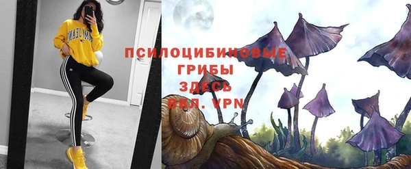 шишки Янаул
